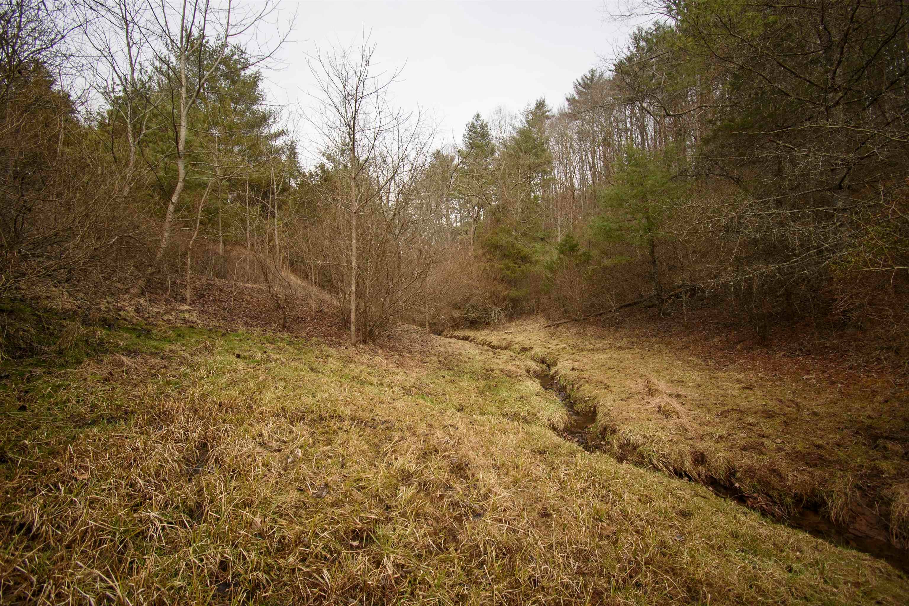 Tbd Lot 8 Tbd Road Draper, VA 24324 - Photo 15 of 33 Gallery Image 15