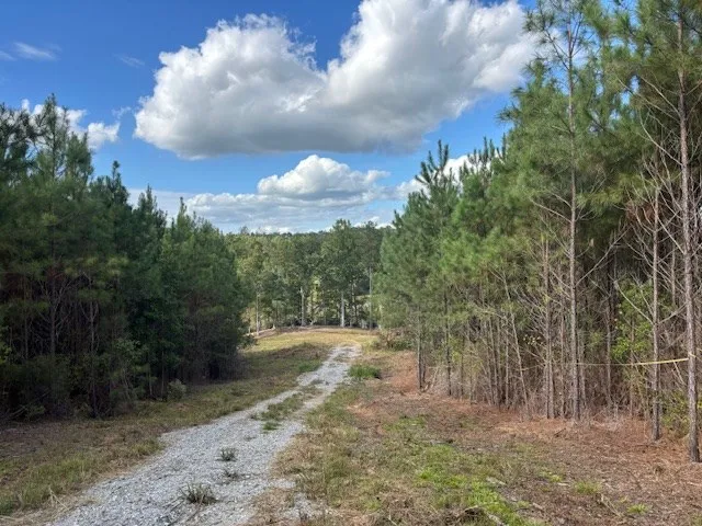a view of a dry yard with trees in the background