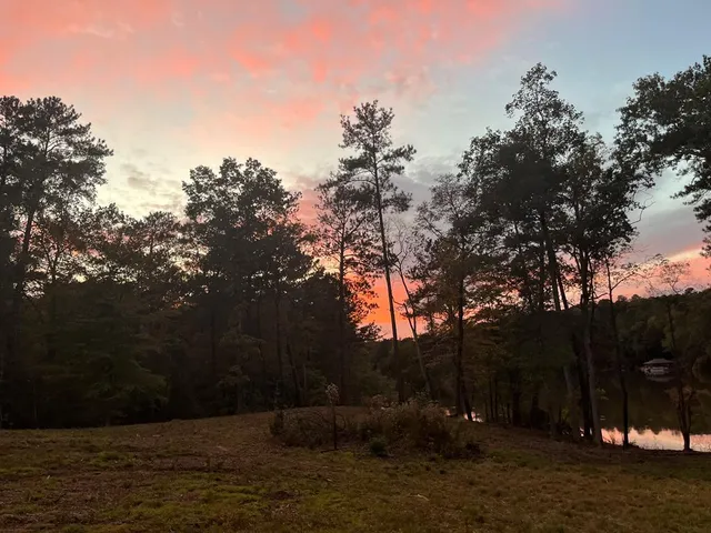 a view of outdoor space and yard