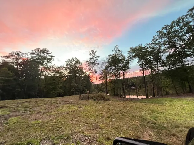 a view of outdoor space with trees