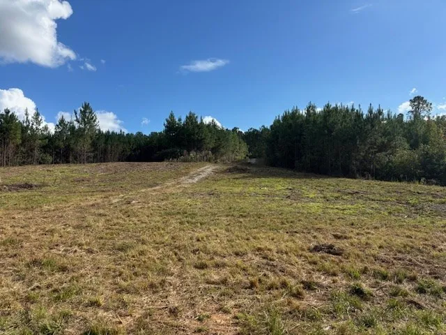 a view of a field with trees in the background