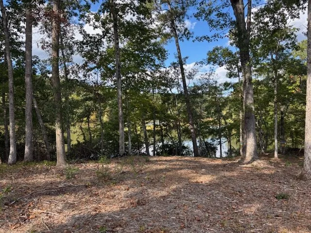 a view of outdoor space with tree s