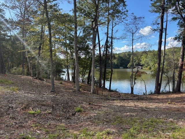 2 Mountain Drive Hamilton, GA 31811 - Photo 5 of 13