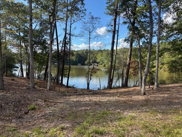 2 Mountain Drive Hamilton, GA 31811 - Photo 6 of 13