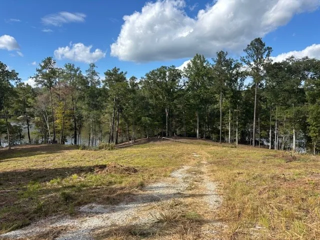 a view of back yard with trees