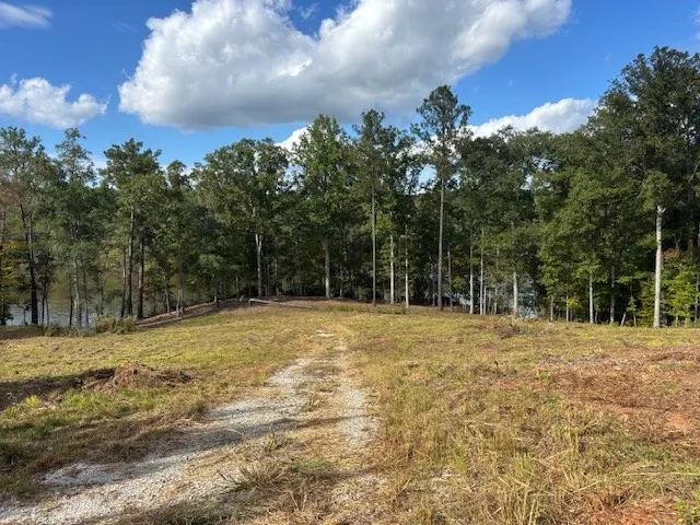 a view of a yard with trees in the background