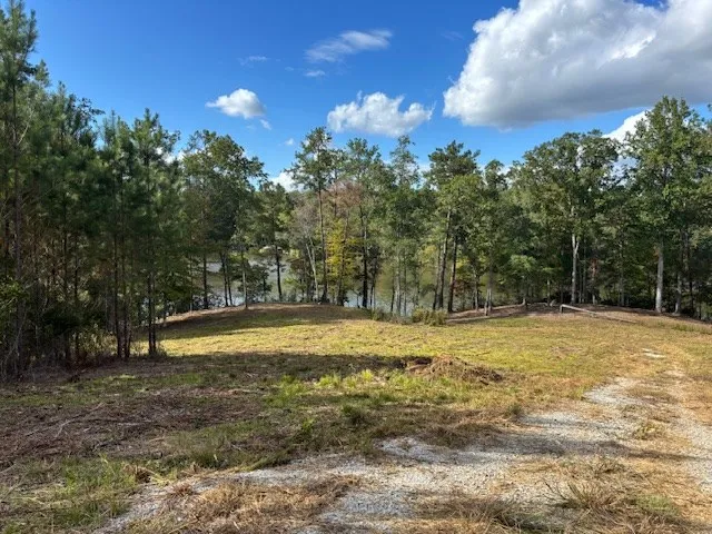 a view of a yard with trees