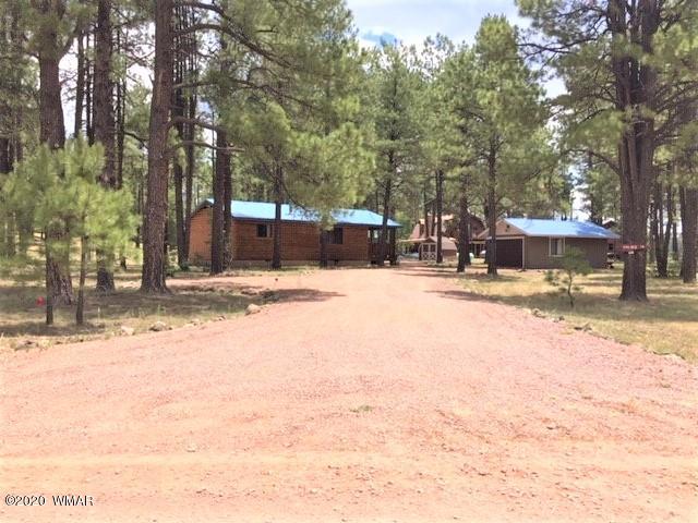 20 2081 Alpine, AZ 85920 - Photo 3 of 24