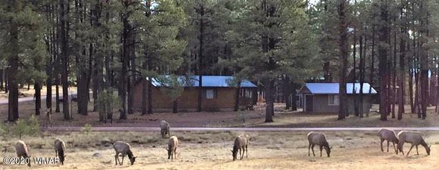 20 2081 Alpine, AZ 85920 - Photo 4 of 24