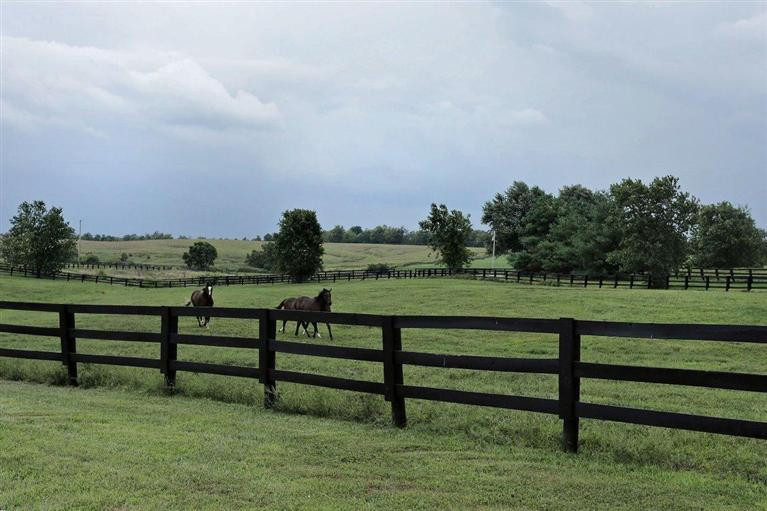 284 Escondida Road Paris, KY 40361 - Photo 16 of 22 Photo 16