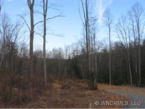 9999 Small Crk Road Brevard, NC 28712 - Photo 1 of 8 Gallery Image 1