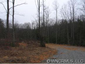 9999 Small Crk Road Brevard, NC 28712 - Photo 3 of 8 Gallery Image 3