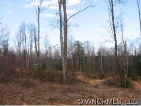 9999 Small Crk Road Brevard, NC 28712 - Photo 4 of 8 Gallery Image 4