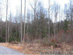 9999 Small Crk Road Brevard, NC 28712 - Photo 5 of 8 Gallery Image 5