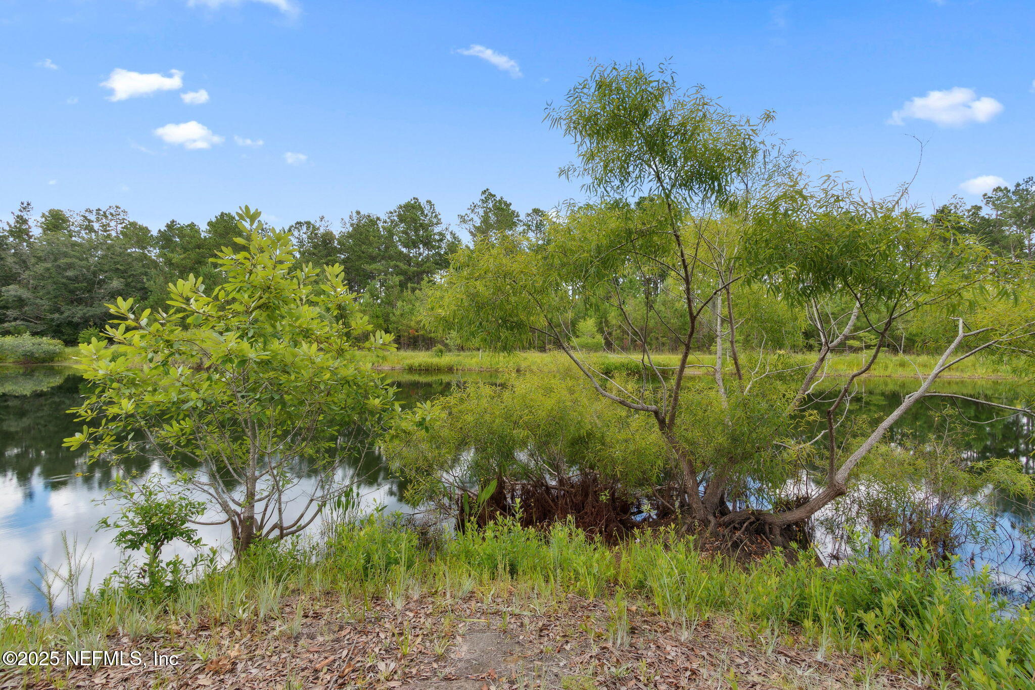 37334 Alice Street Hilliard, FL 32046 - Photo 54 of 80 a view of a garden