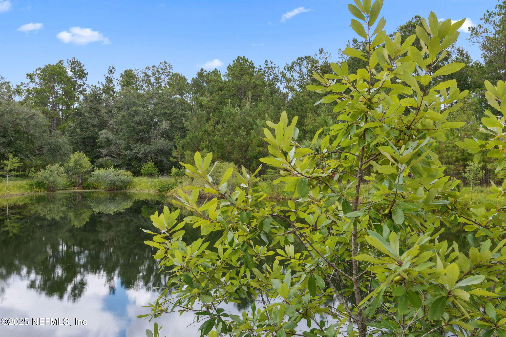 37334 Alice Street Hilliard, FL 32046 - Photo 55 of 80 Pond 3