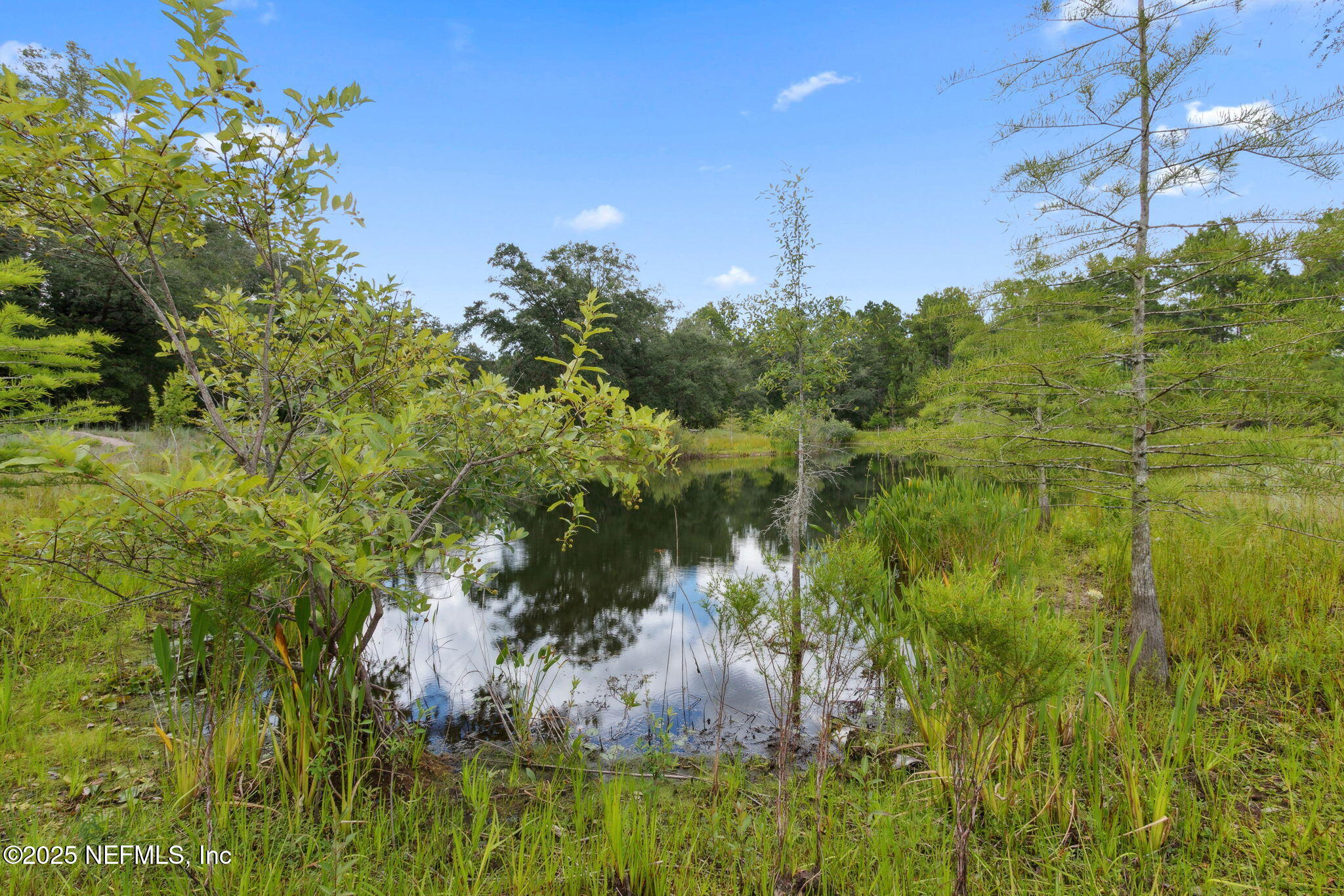 37334 Alice Street Hilliard, FL 32046 - Photo 56 of 80 Pond 4