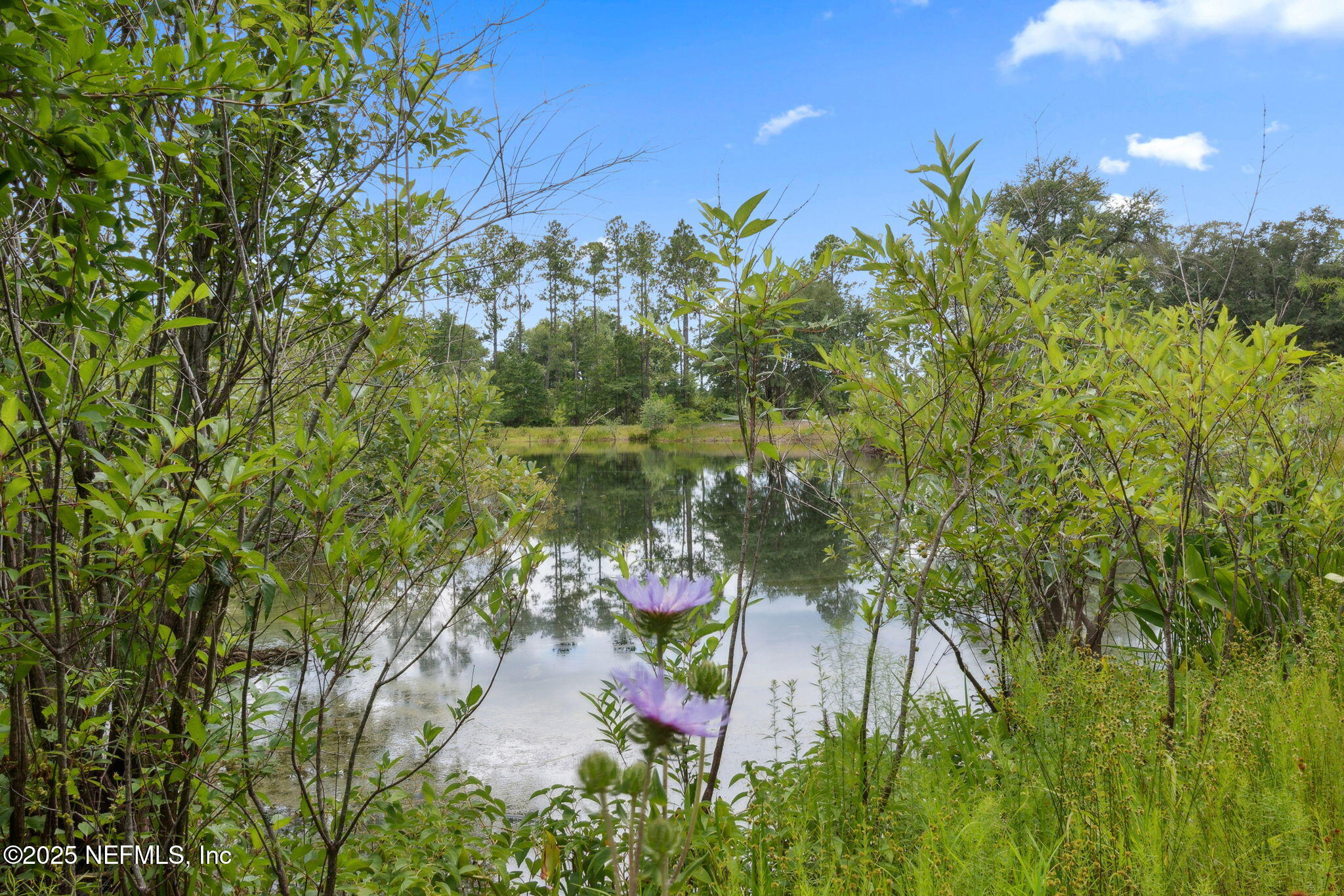 37334 Alice Street Hilliard, FL 32046 - Photo 57 of 80 Pond 5