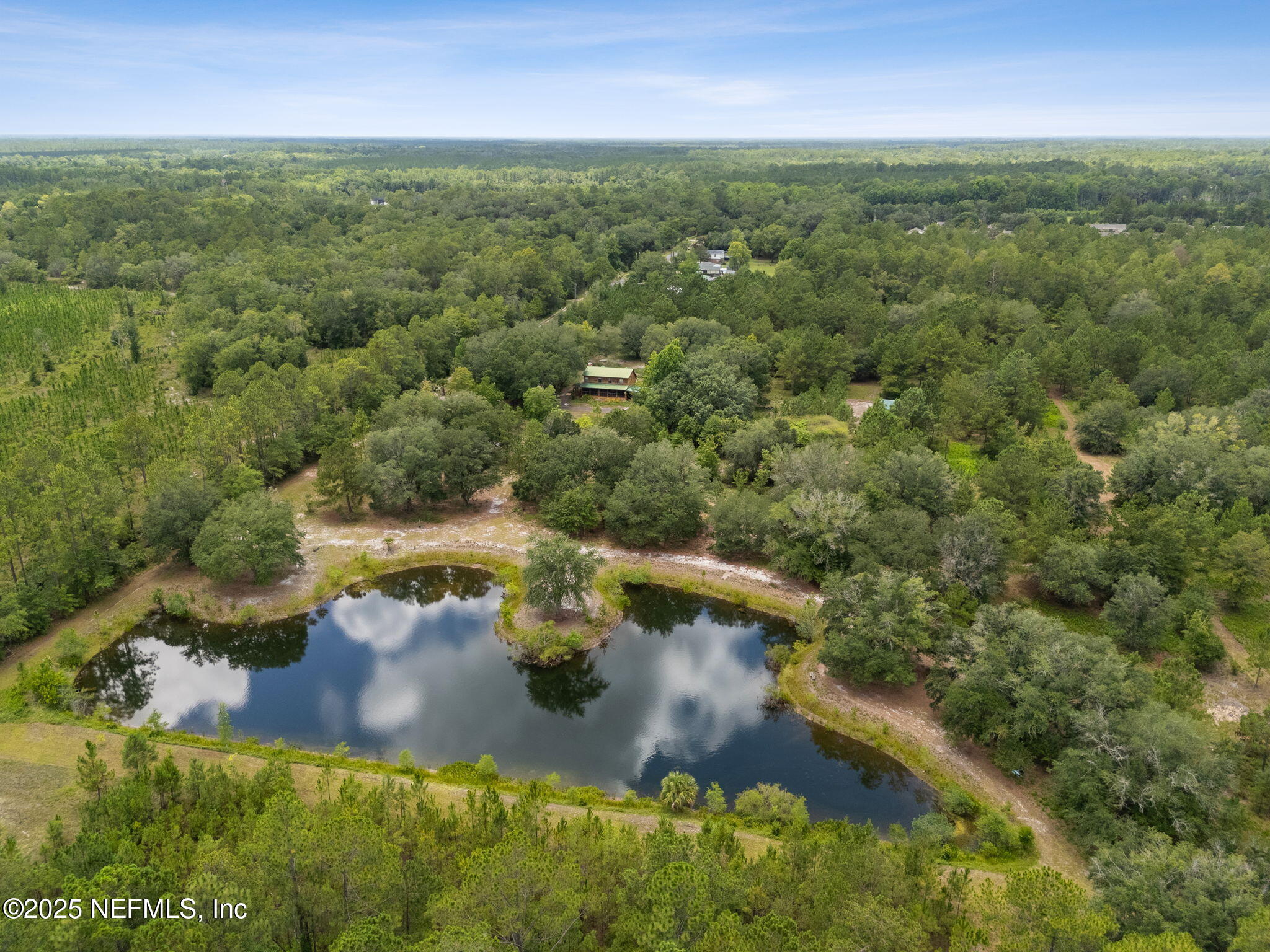 37334 Alice Street Hilliard, FL 32046 - Photo 67 of 80 an aerial view of residential houses with outdoor space and trees