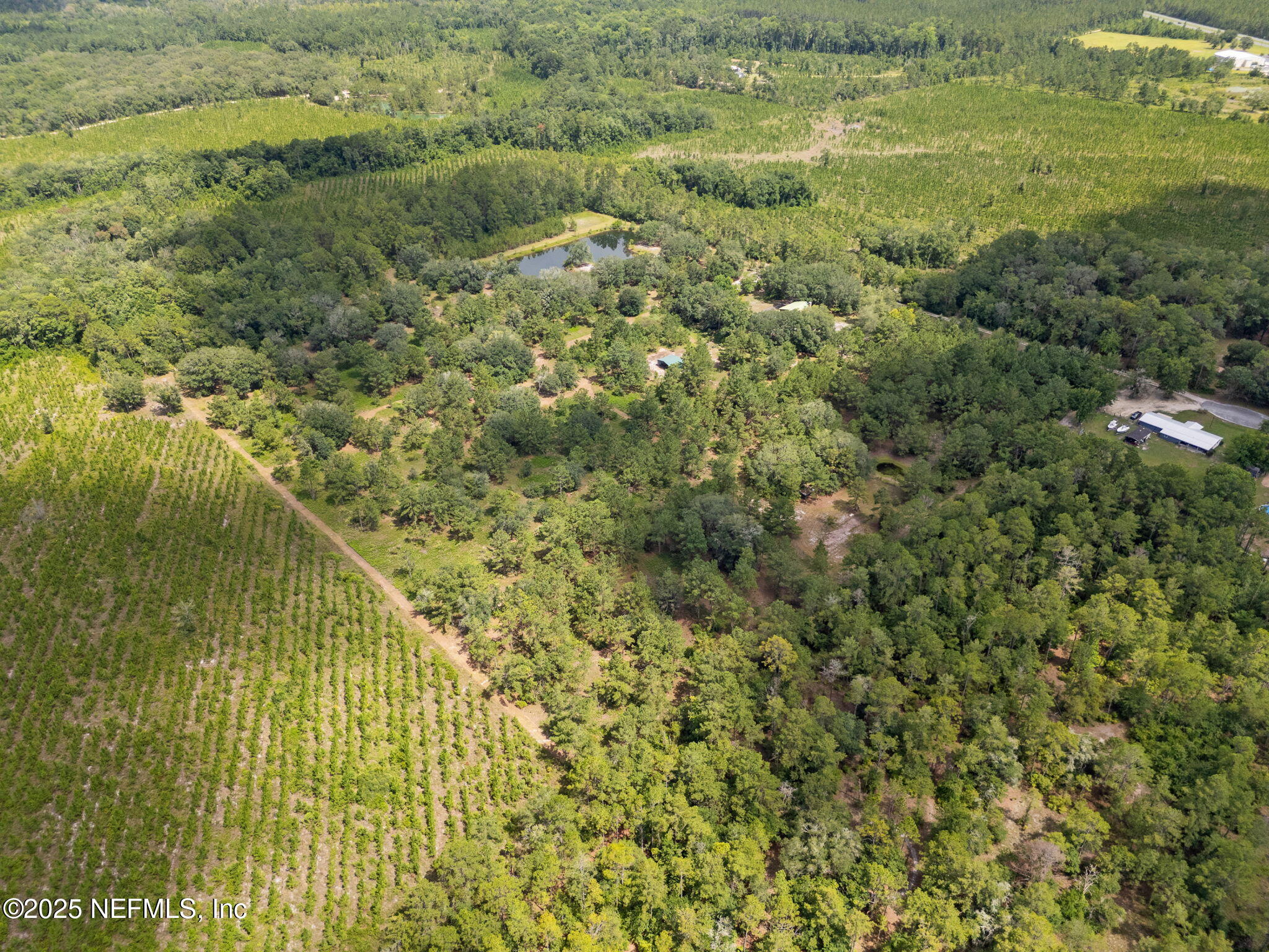 37334 Alice Street Hilliard, FL 32046 - Photo 77 of 80 Aerial 12