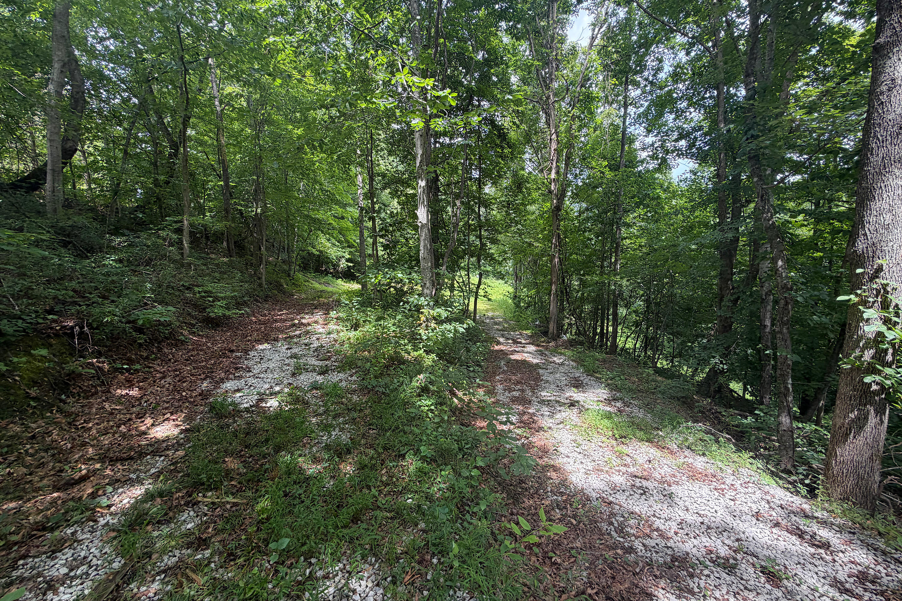 4813 Brammer Hill Ridge Road Monticello, KY 42633 - Photo 5 of 12 IMG_1632