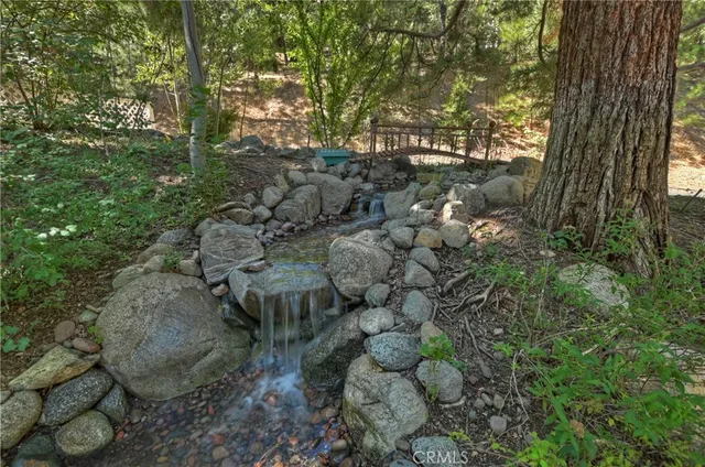 a view of a forest with a tree