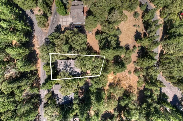 front view of a house with a tree