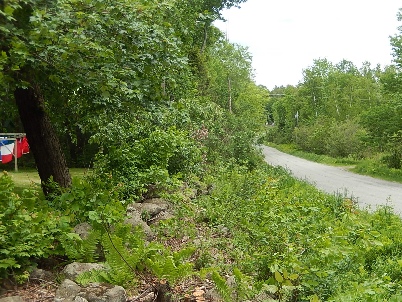 383 Birches Road Waldo, ME 04915 - Photo 13 of 25 DSCN9624