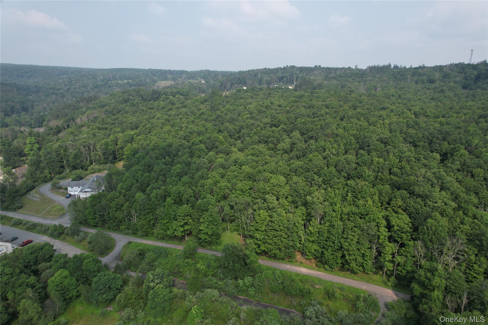 Tbd Timberwolf Road West Liberty, NY 12754 - Photo 7 of 27 Gallery Image 7