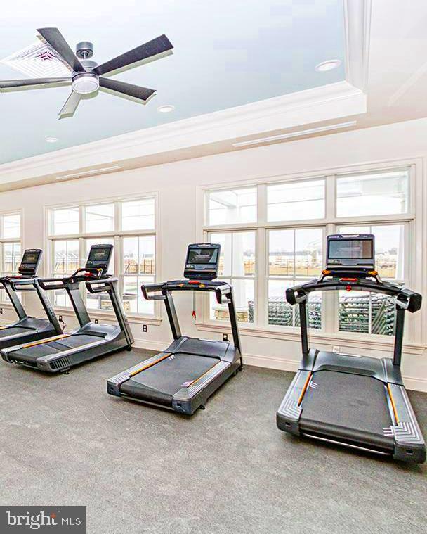35262 Wright Way Millsboro, DE 19966 - Photo 42 of 42 a room with gym equipment