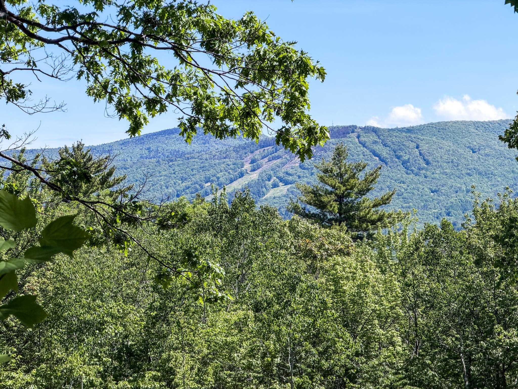 236 Birch Hill Road Conway, NH 03860 - Photo 18 of 53