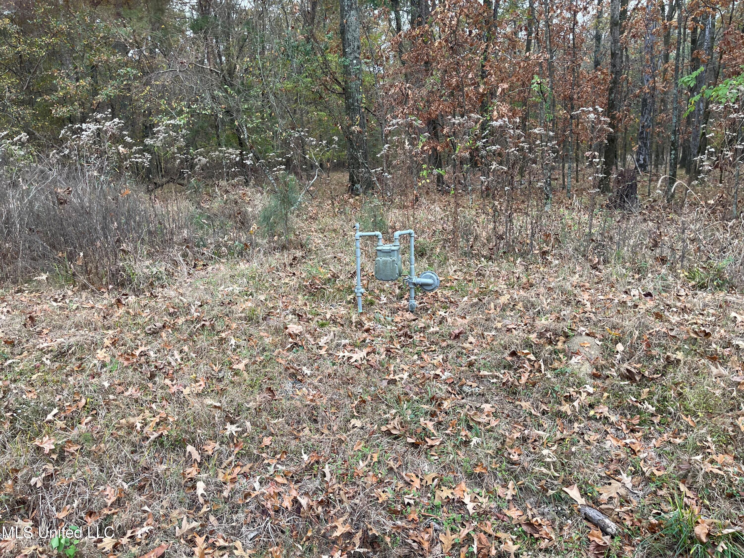 No Old Fannin Road Flowood, MS 39232 - Photo 2 of 7 PIC 1