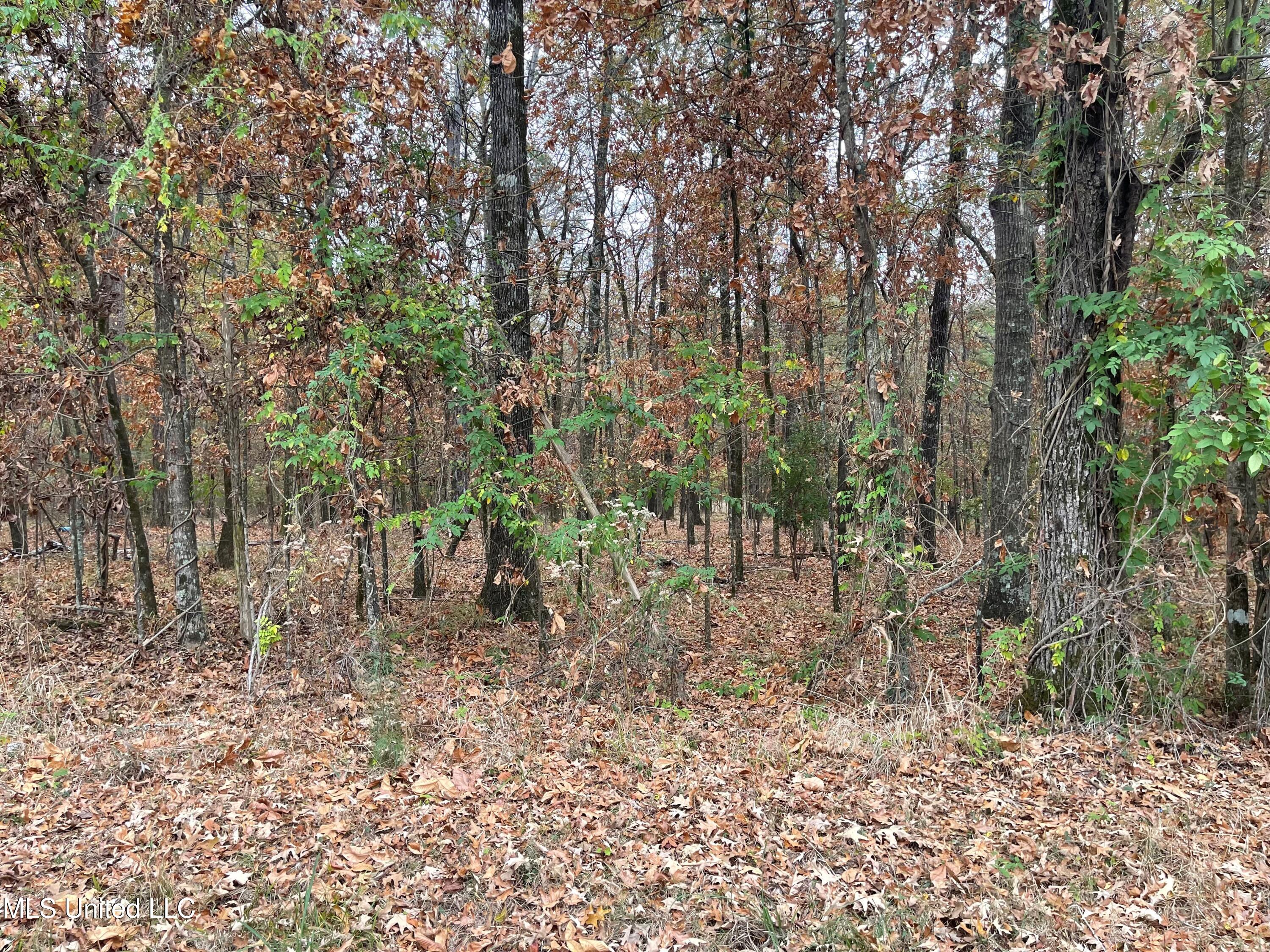 No Old Fannin Road Flowood, MS 39232 - Photo 3 of 7 PIC 2