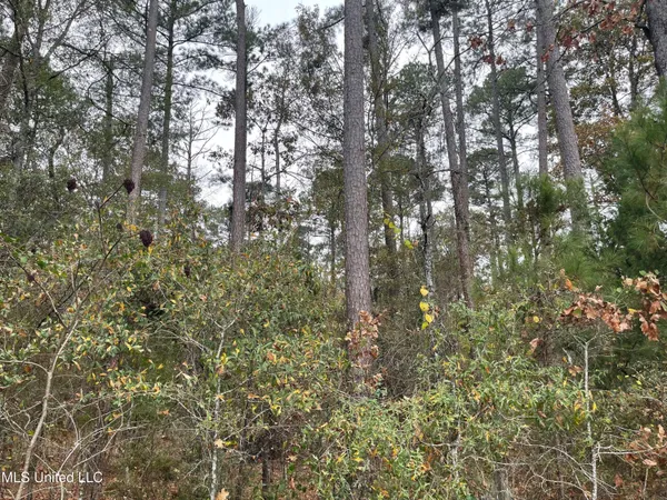 $998,000 | No Old Fannin Road, Flowood, MS 39232
