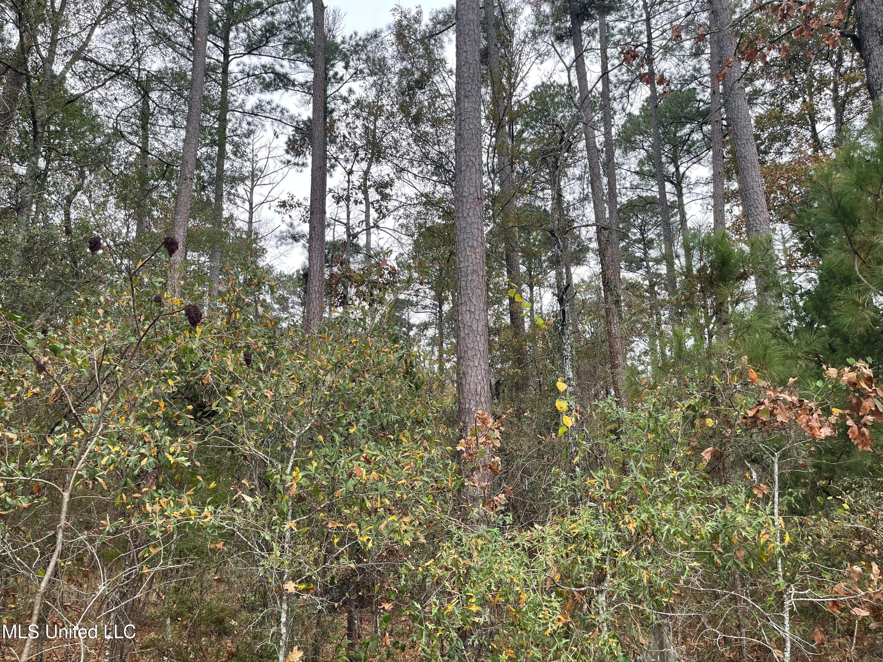 No Old Fannin Road Flowood, MS 39232 - Photo 4 of 7 PIC 3