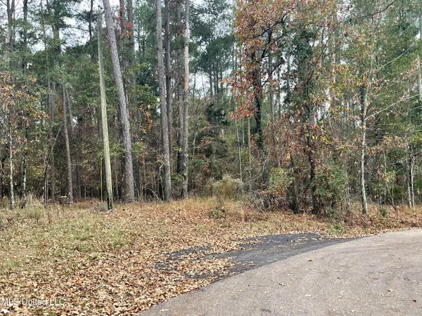 $998,000 | No Old Fannin Road, Flowood, MS 39232