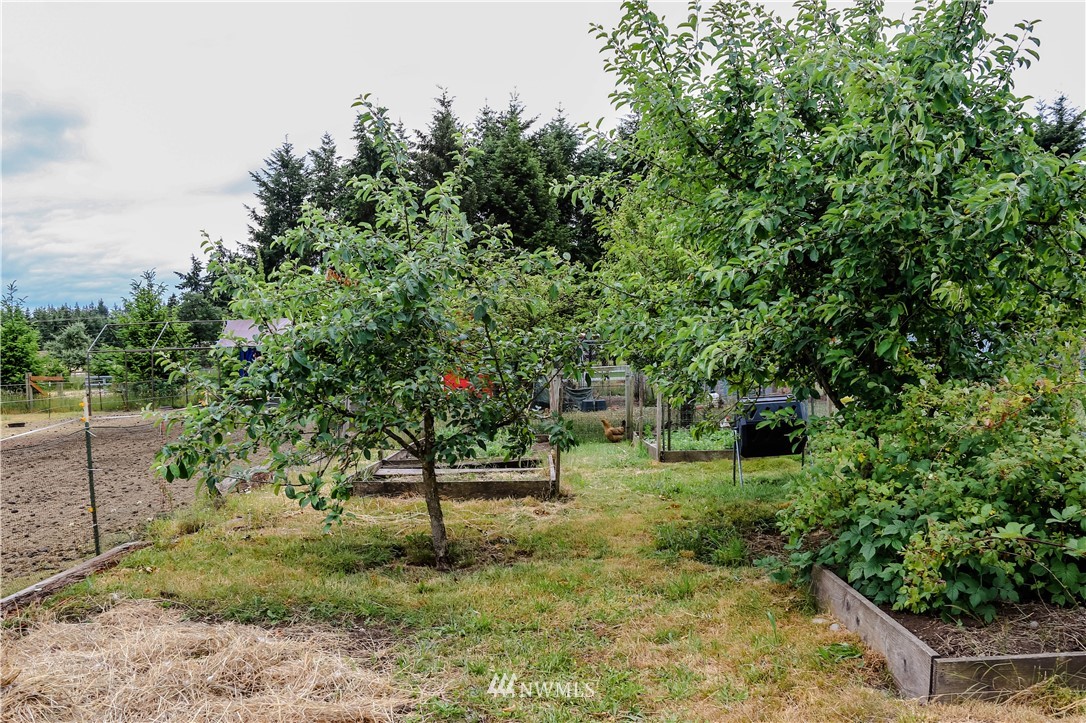 18144 Applegate Street Southwest Rochester, WA 98579 - Photo 15 of 22