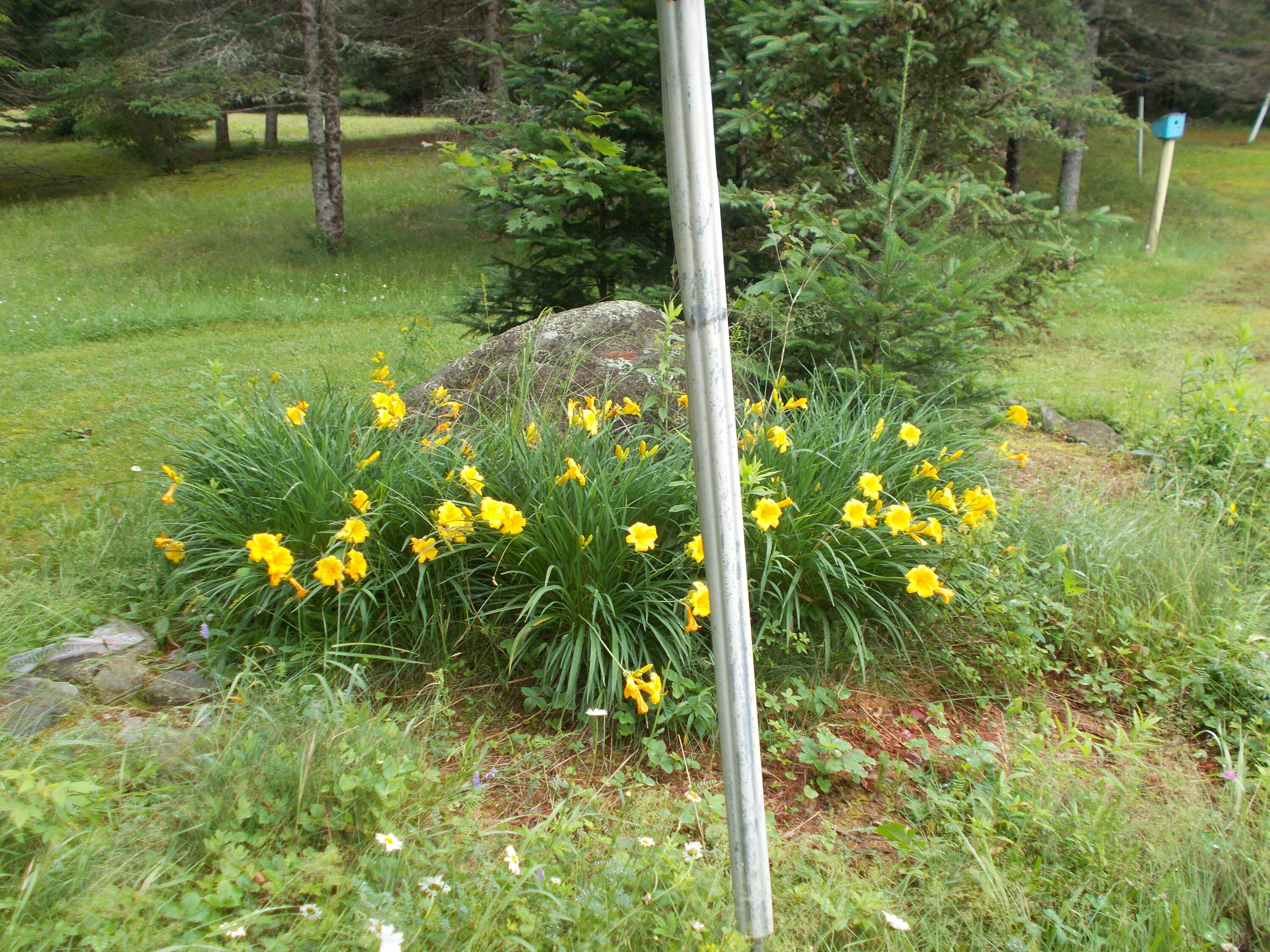 416 Johnson Flat Road Clinton, ME 04927 - Photo 27 of 69 DSCN2545