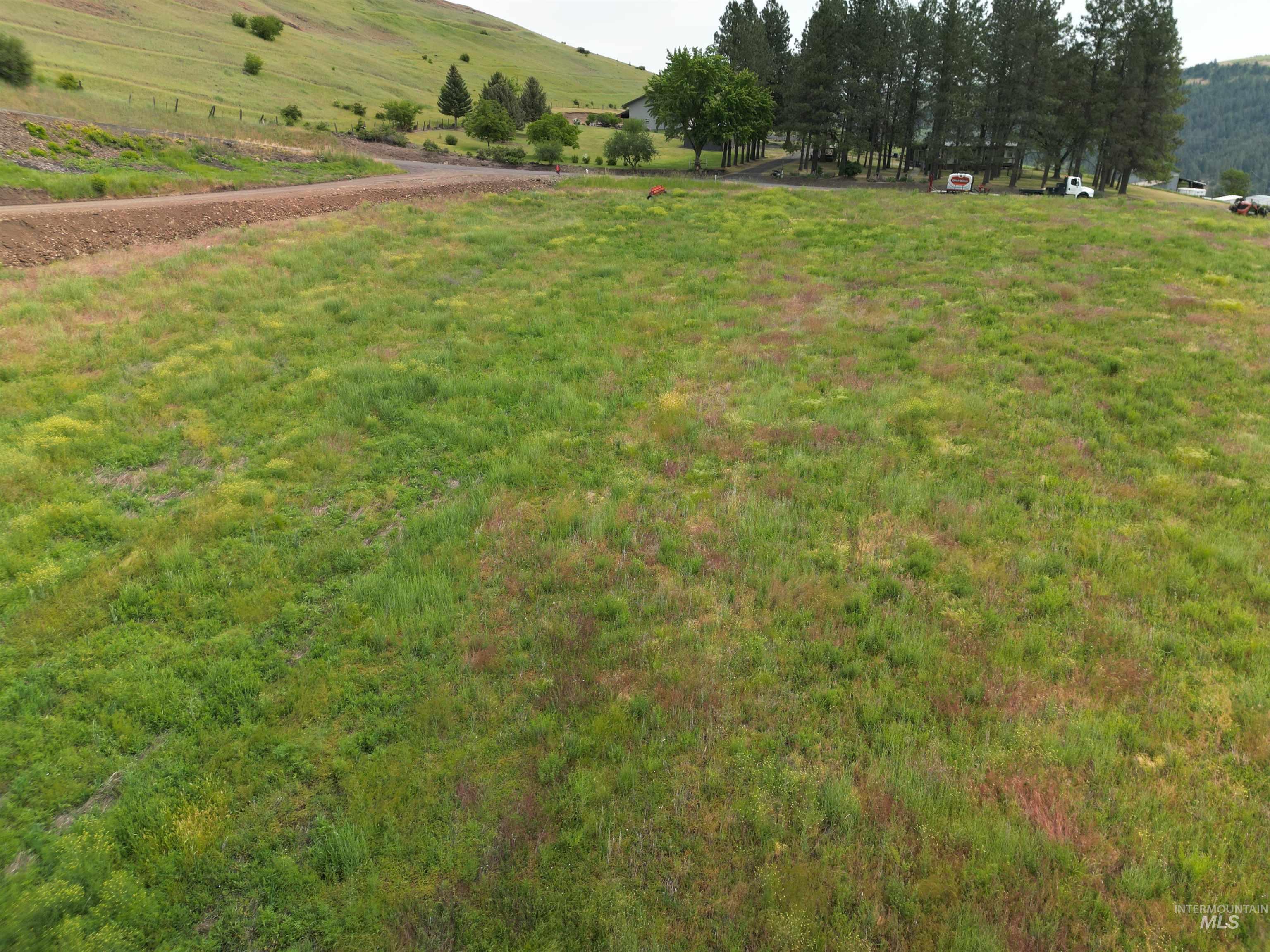 0 American Ridge Road Kendrick, ID 83537 - Photo 4 of 11