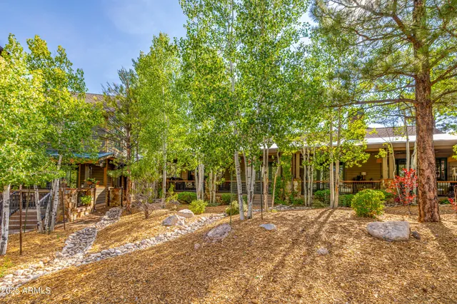 a view of a house with a tree