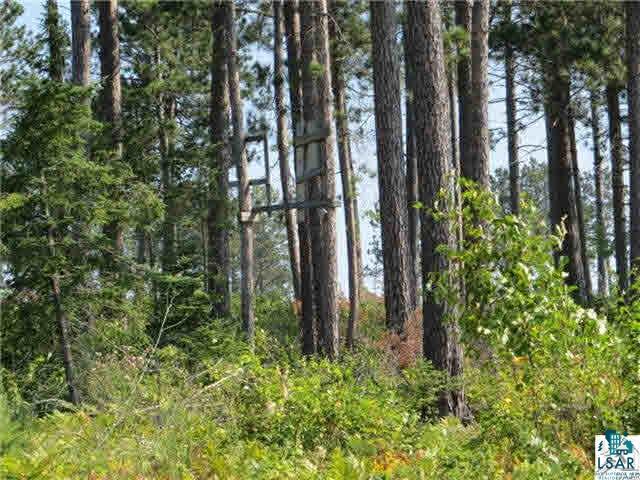 540 County Road 540 Cook, MN 55723 - Photo 1 of 8 Gallery Image 1