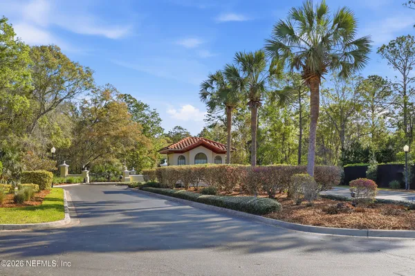 a view of a yard with large trees
