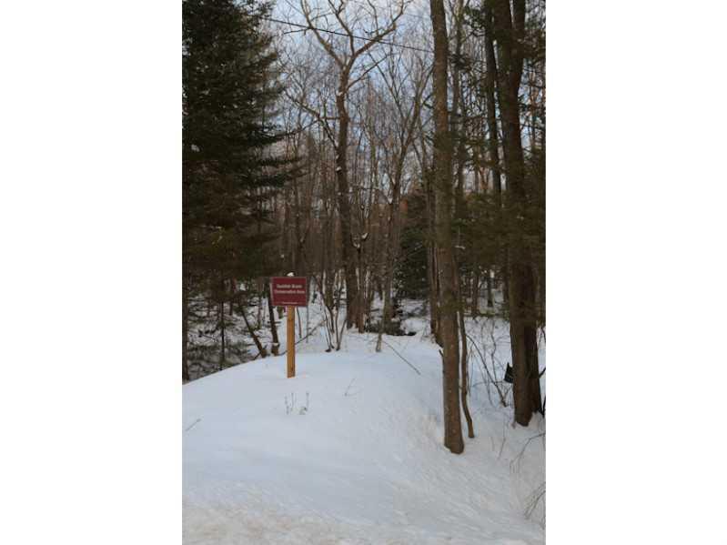 91 Mast Road Falmouth, ME 04105 - Photo 26 of 28 Other. recreation area