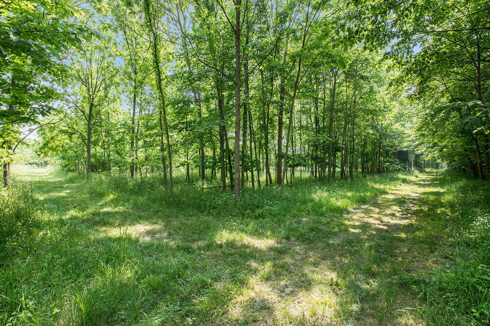 30120 Shaw Road Lawton, MI 49065 - Photo 5 of 19 007_converted_15