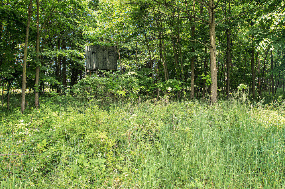 30120 Shaw Road Lawton, MI 49065 - Photo 6 of 19 008_converted_14
