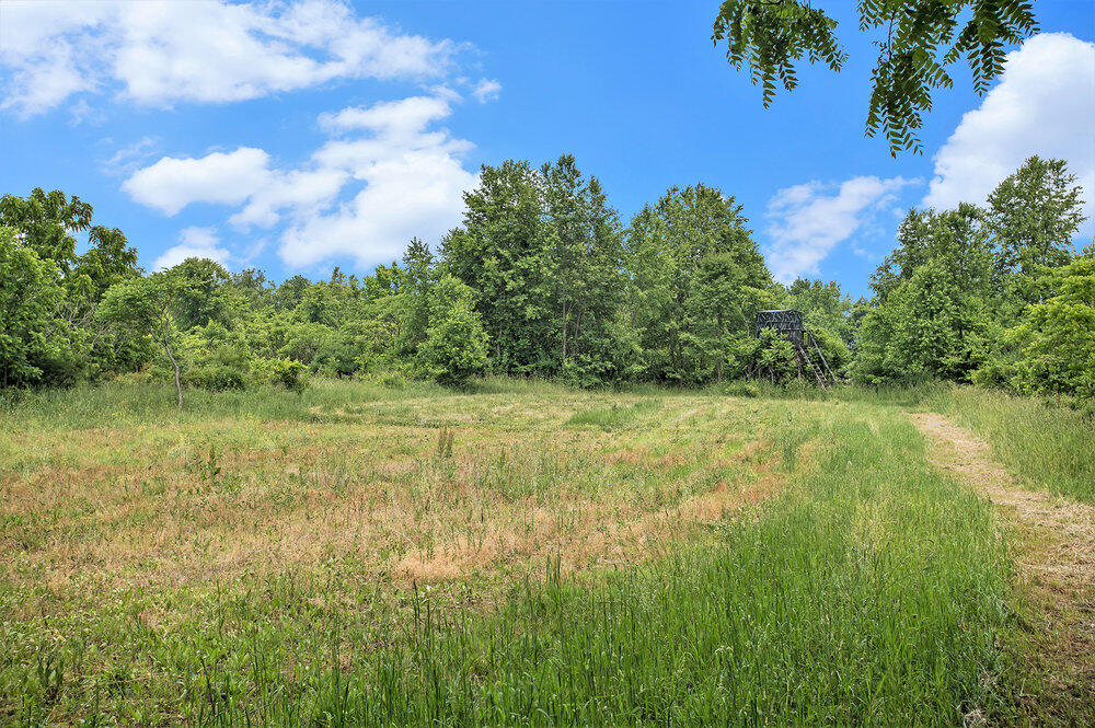 30120 Shaw Road Lawton, MI 49065 - Photo 8 of 19 010_converted_19