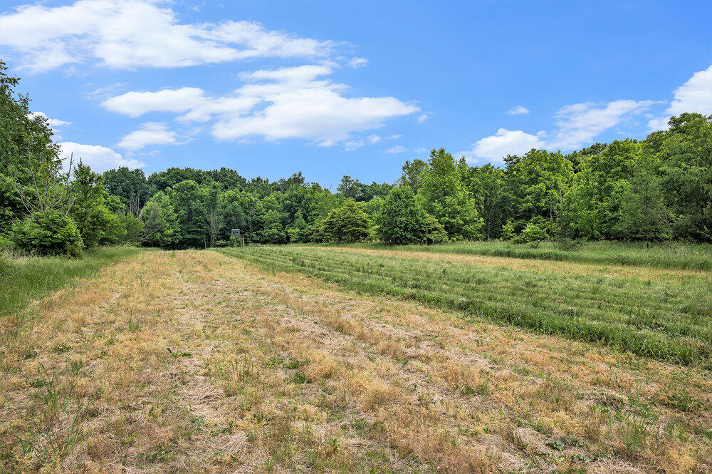 30120 Shaw Road Lawton, MI 49065 - Photo 9 of 19 011_converted_24