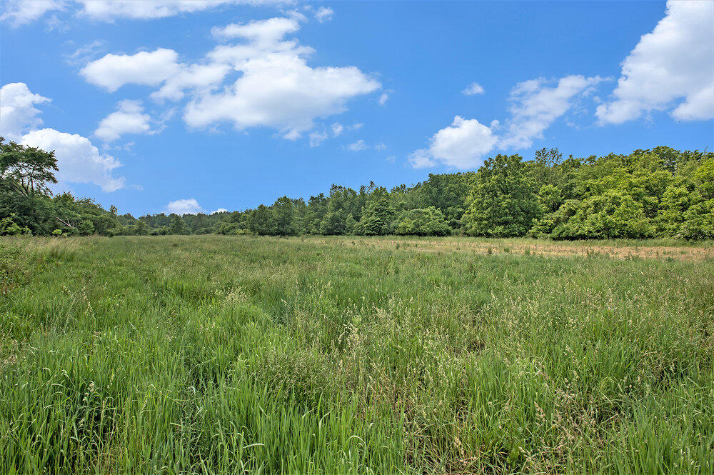 30120 Shaw Road Lawton, MI 49065 - Photo 10 of 19 012_converted_28