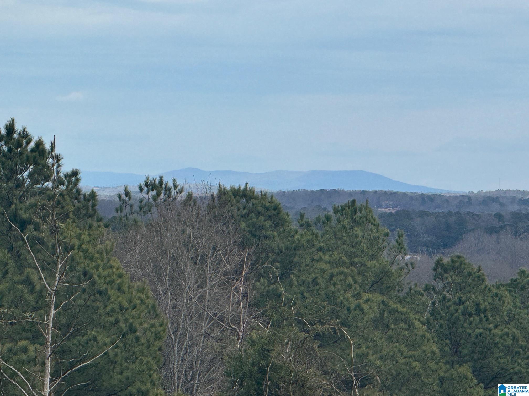 3953 Logan Martin Dam Road Cropwell, AL 35054 - Photo 53 of 99