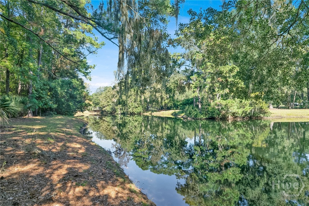 15 Franklin Creek Road North Savannah, GA 31411 - Photo 10 of 33